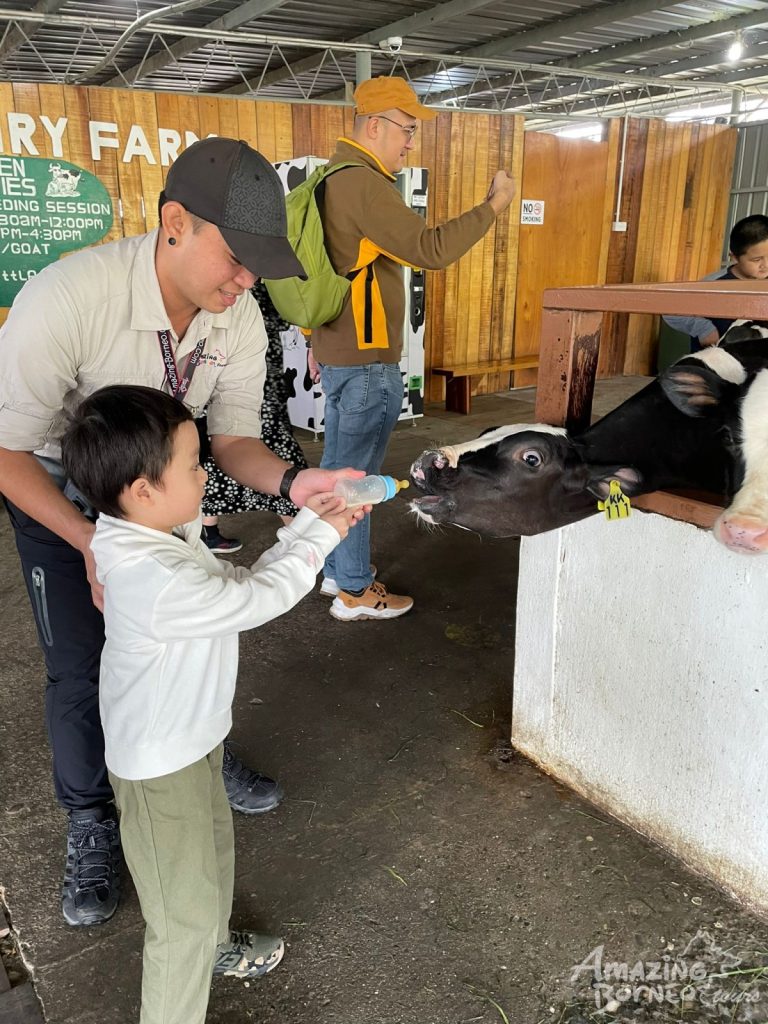 20221206_053938000_iOS-(1)