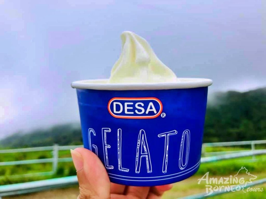 4n-kundasang-desa-dairy-farm-gelato-amazing-borneo-sabah