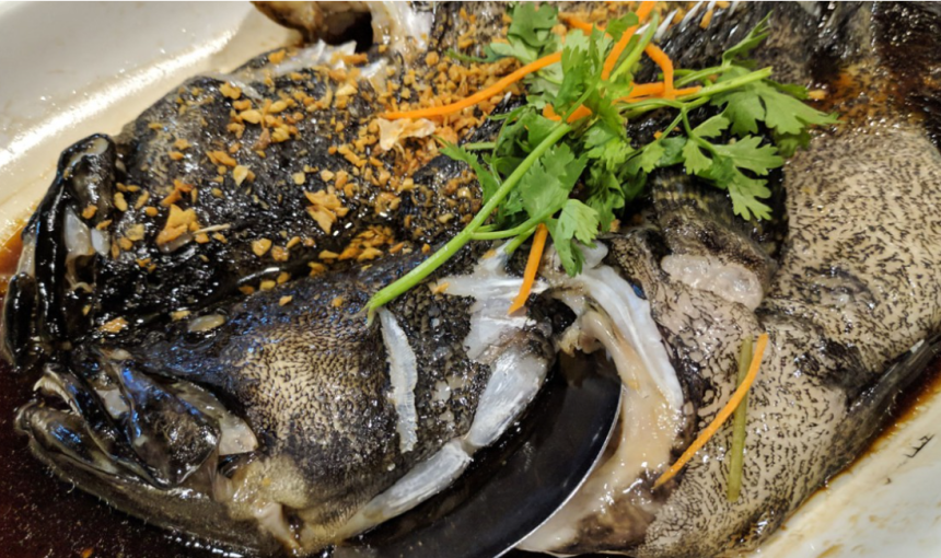Steamed Hybrid Grouper